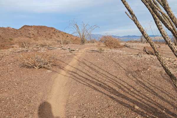 BLA Side Route - Single Track