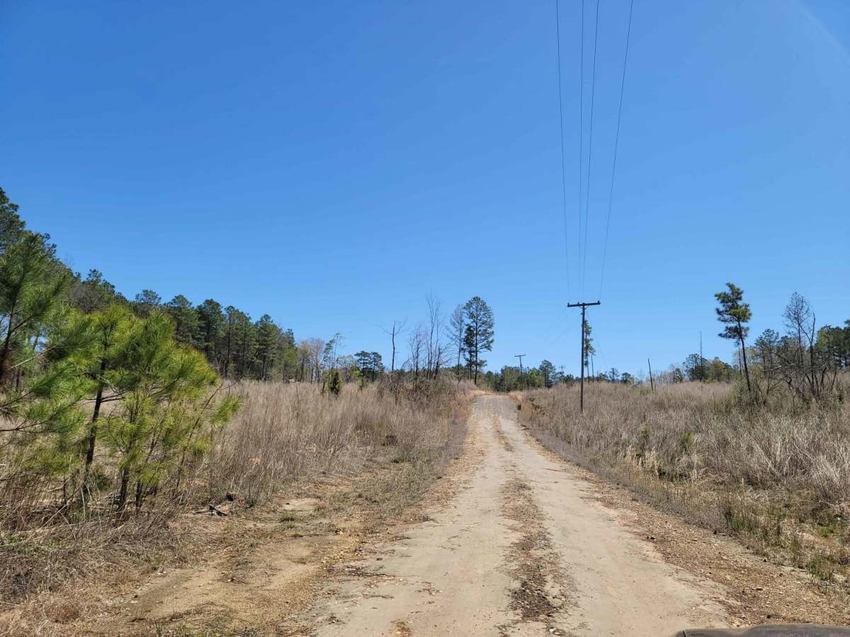 The Arkansas Overland Route - Section 3 - Road 113 to Highway 76 photo 2
