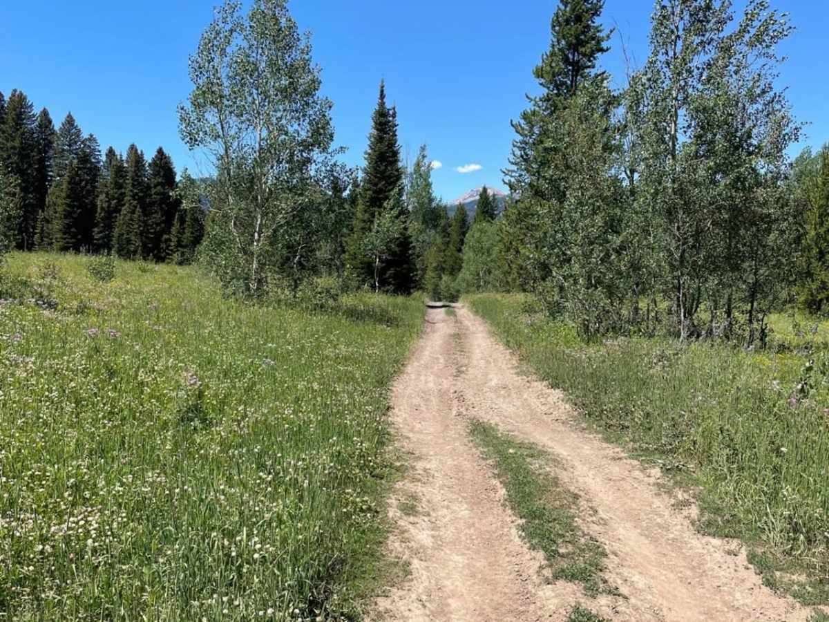 Buttermilk Creek Trail photo 2