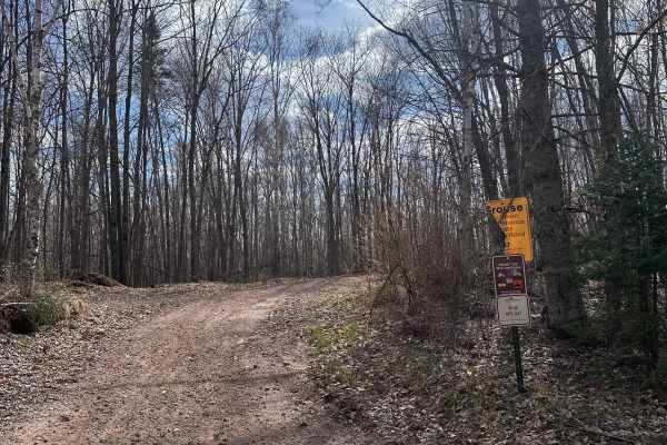 Grouse Forest Road