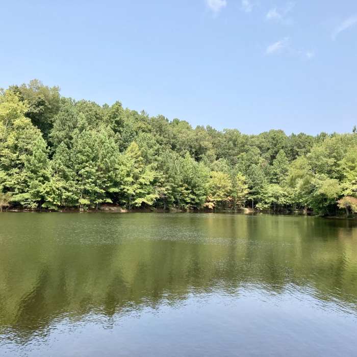 Near Perimeter Trail Near Perimeter Trail