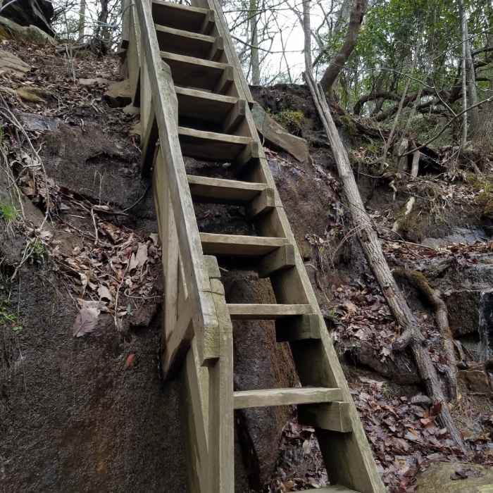 Near Upland Trail to Martha's Pretty Point