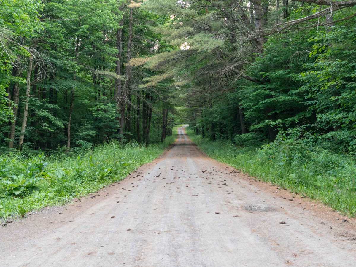 Truck Trail 12 photo 6