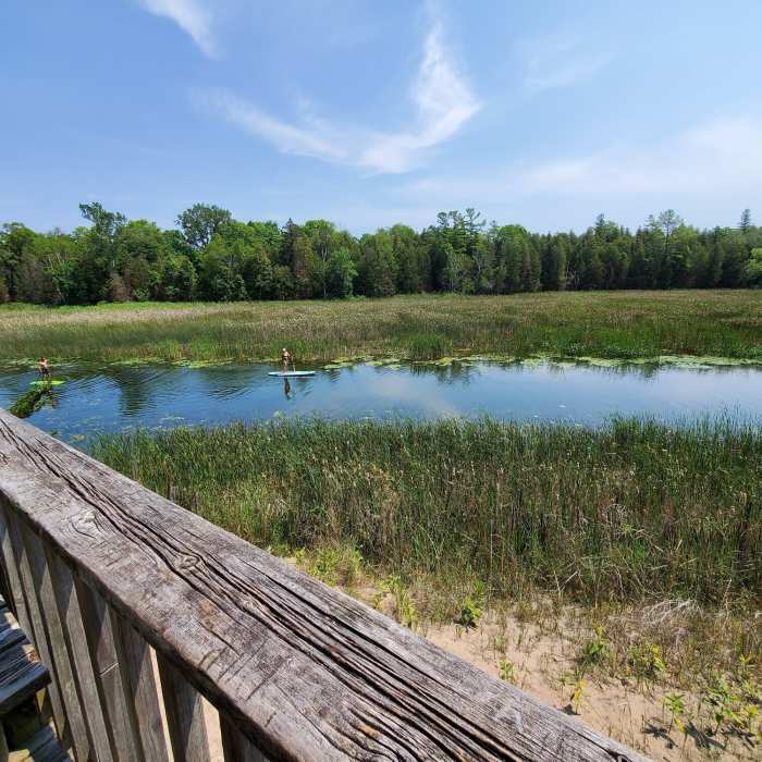 Near Cedar Sands Nature Trail