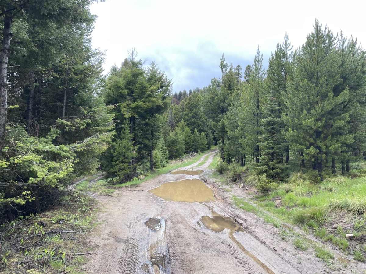 Summit Cabin Road photo 6