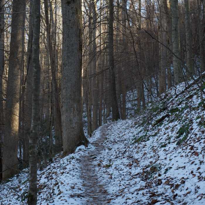 Near Jakes Creek Trail