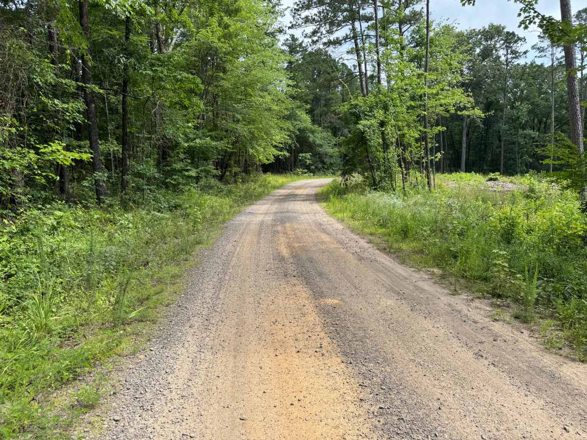 County Road 3841 photo 5