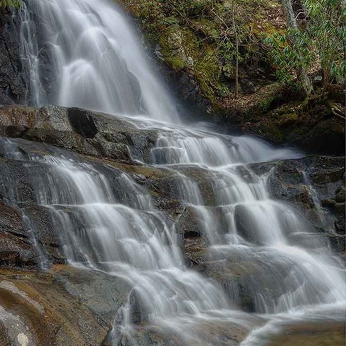 Laurel Falls by Smoky Moments Photography. Please don't attempt to climb on and around the falls. Several people have been seriously hurt falling on the slippery surfaces. Near Laurel Falls to Cove Mountain Fire Tower