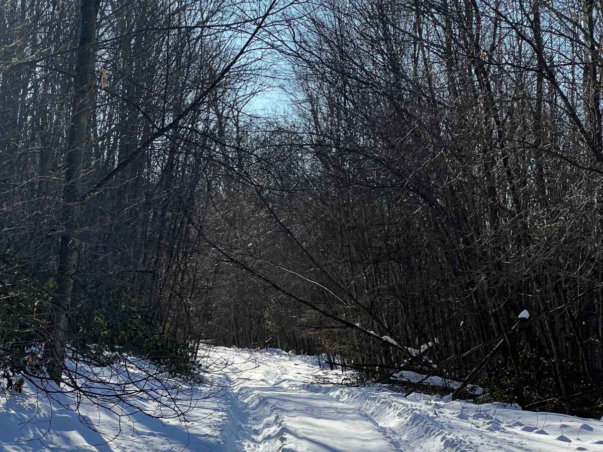Wohlford Gap Trail photo 5