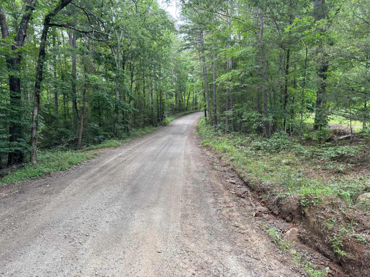 FS 1404 trail photo