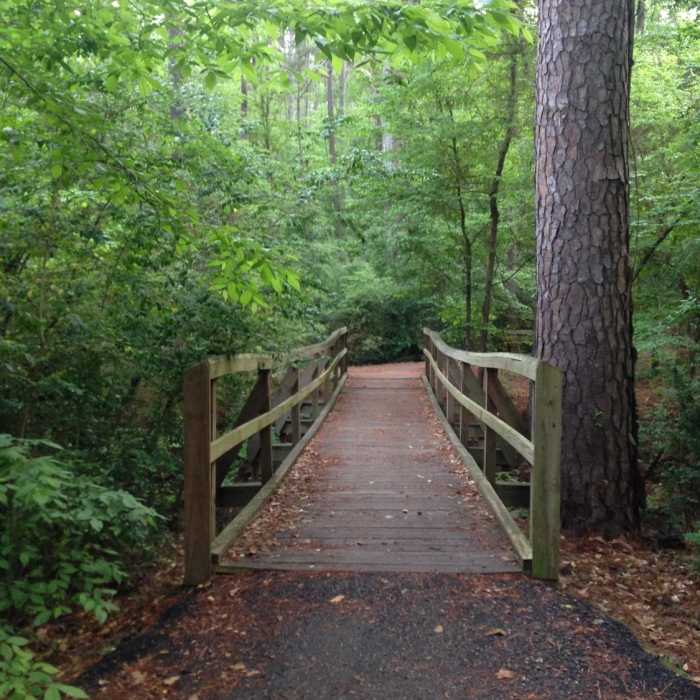 Near SFA Recreational Trails & Gardens