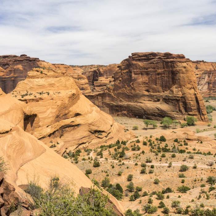 Near White House Ruins Trail