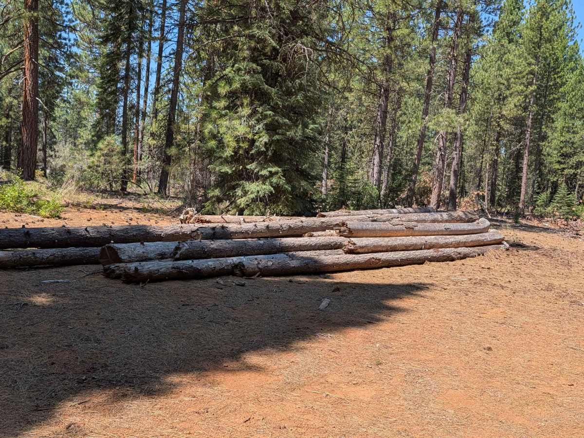 Porcupine Lake - FS 41N01 photo 4
