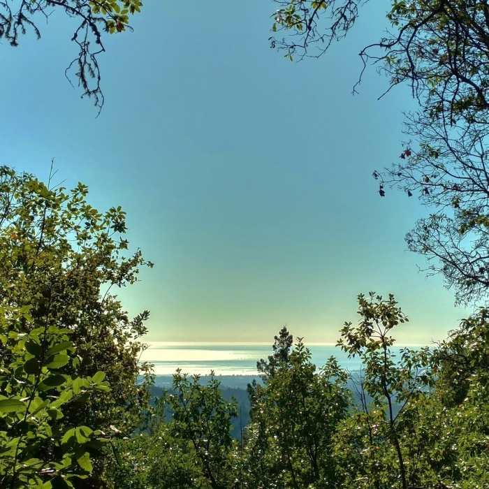 Near Ridge Trail