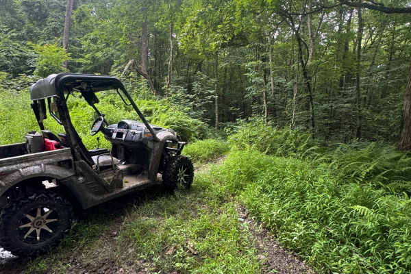 Trail 83