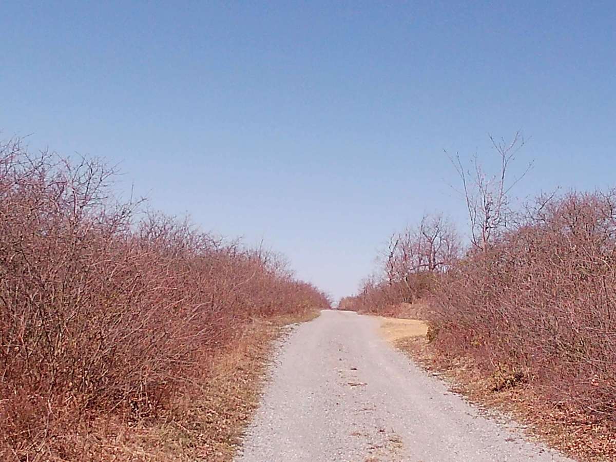 Rock Run Lane photo 3