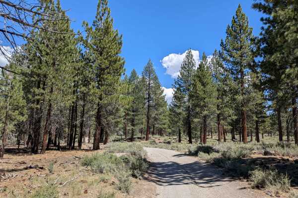 Alpers Canyon Upper FS2S42