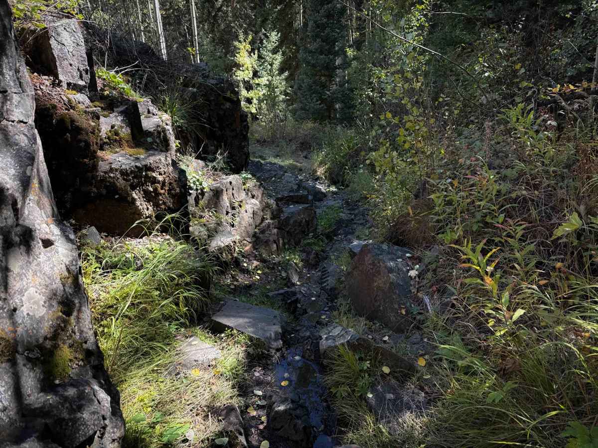 Bear Gulch Trail - FS 610  photo 3