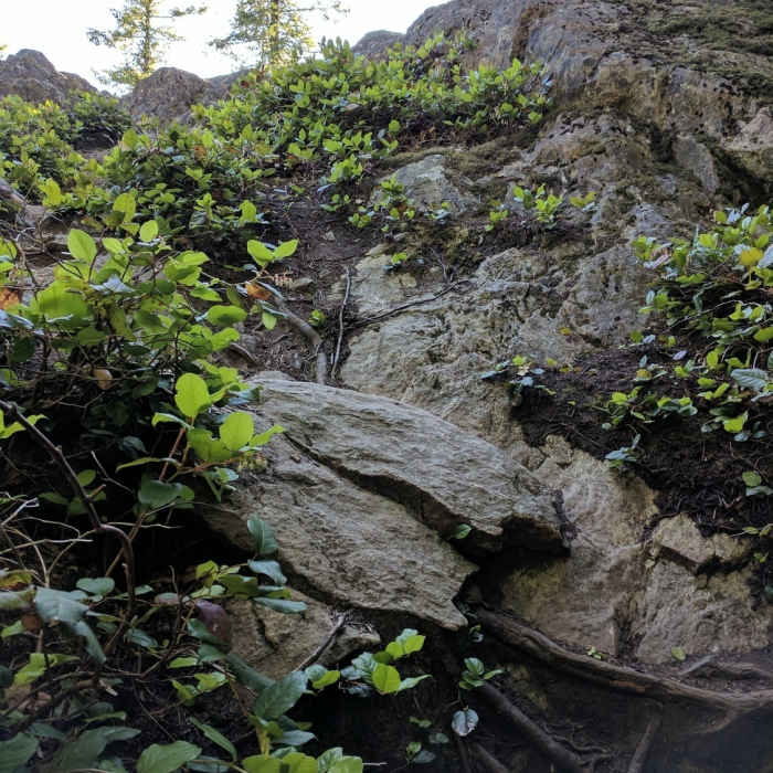 Near North Butte from Lower Blanchard Hill Trailhead