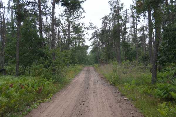Deer Road