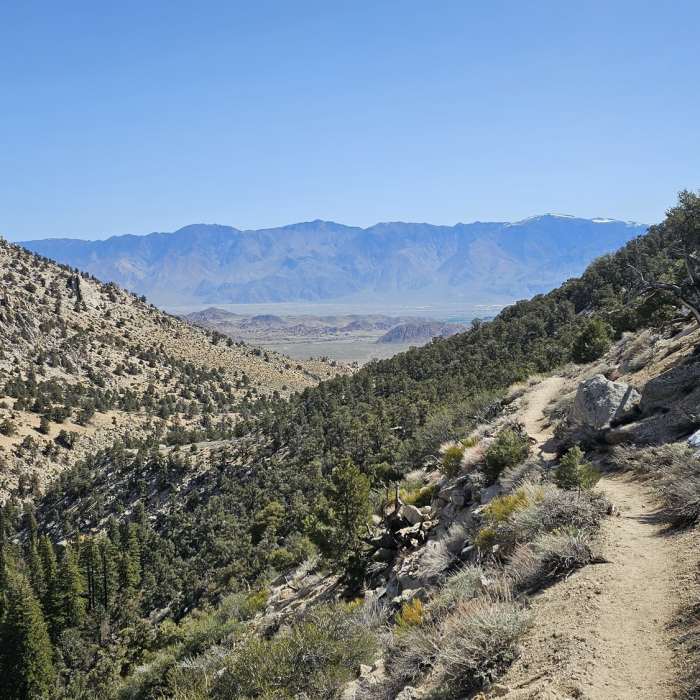Near Tuttle Creek Trail
