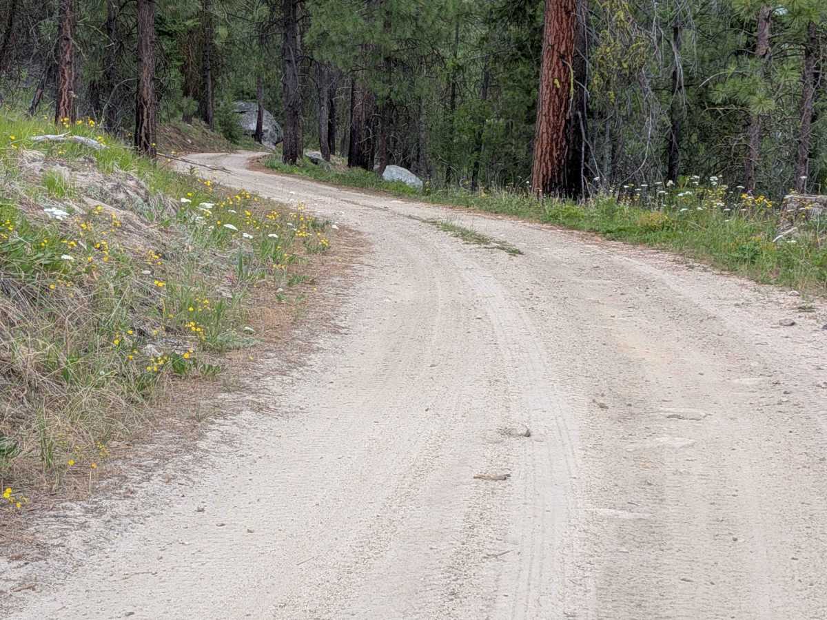 FS 4100-485 trail photo