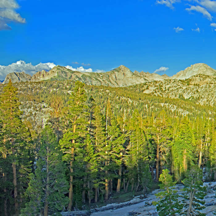 From Peter Pande Trail towards Goodale Pass Area with Red Slate Mountain on the left. Near Peter Pande Lake #27E14