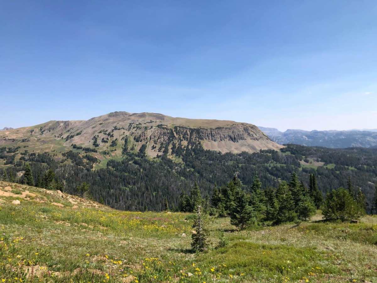 Henderson Mountain Road photo 5