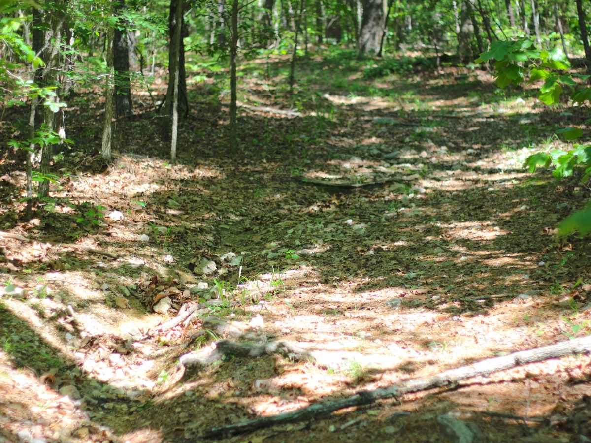 Bear Creek - FS 3715 trail photo