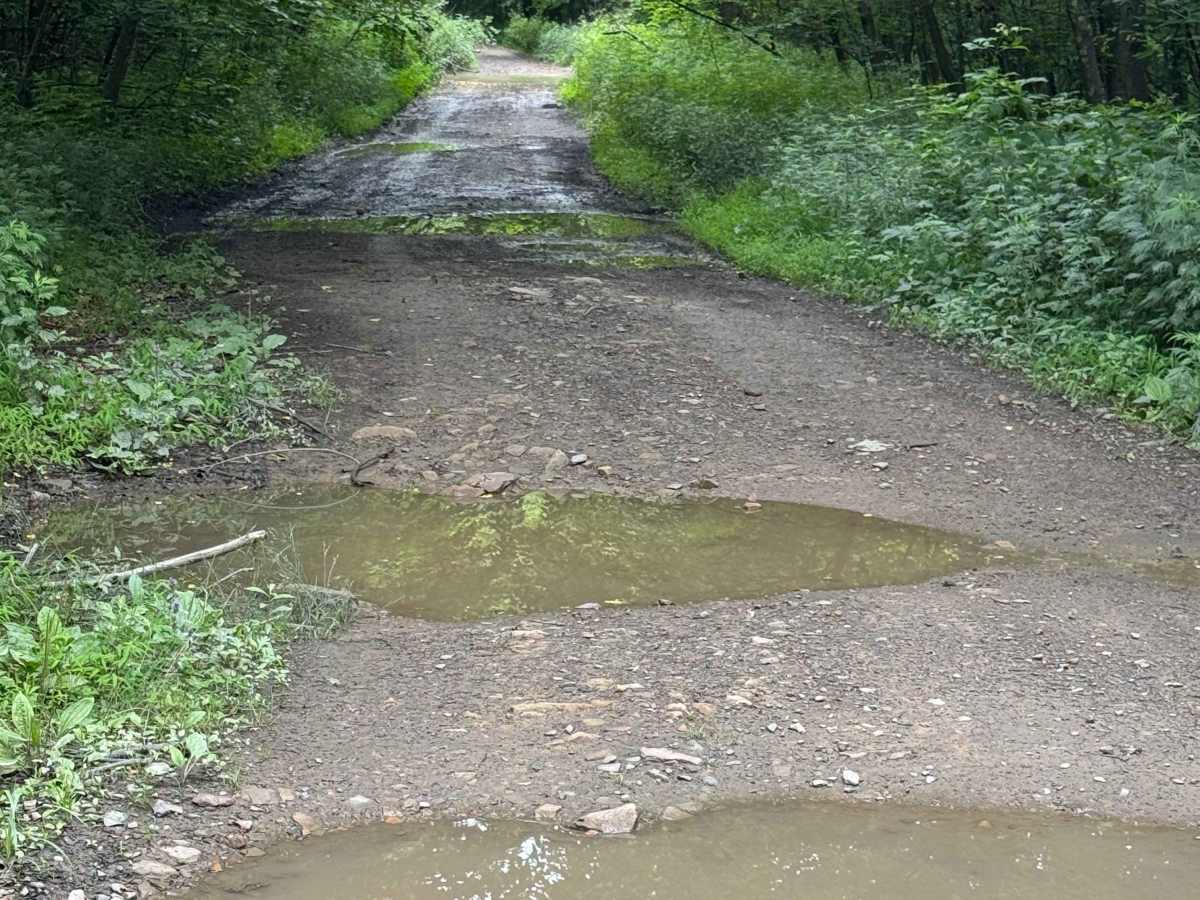 Trail 24 photo 5