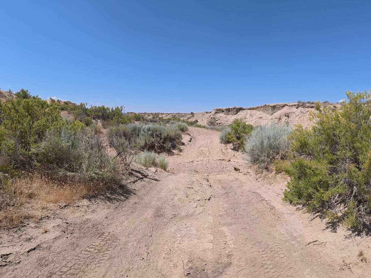 BLM 198 photo 3