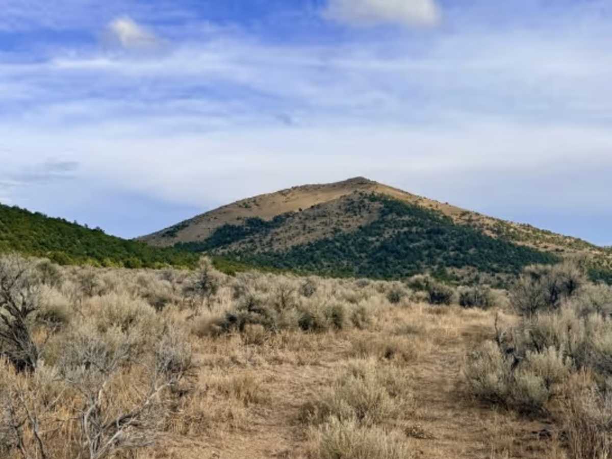 Arizona Spring - FS 17575/577 photo 2