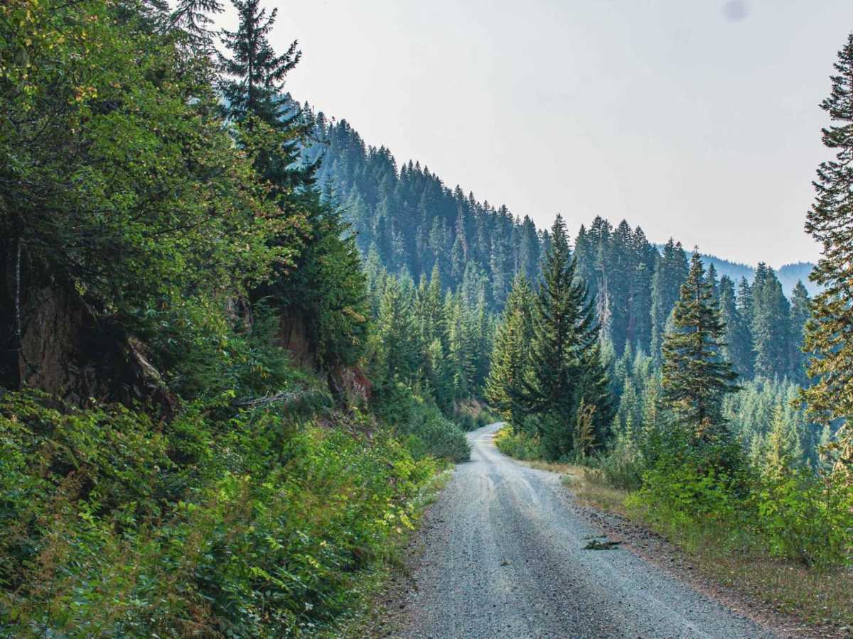 Grass Creek - Fairview trail photo
