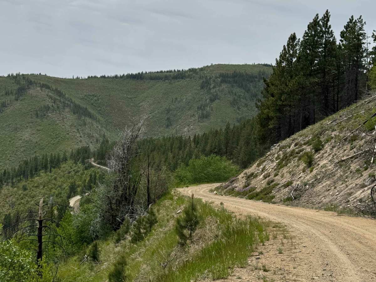 Antoine Creek Road - FS 8140 photo 4
