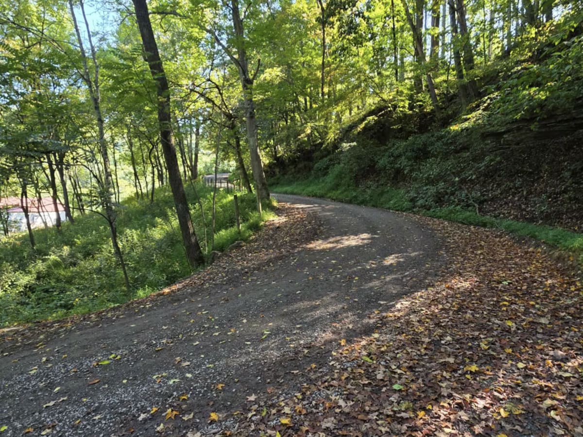 Halstead Hill Road photo 2