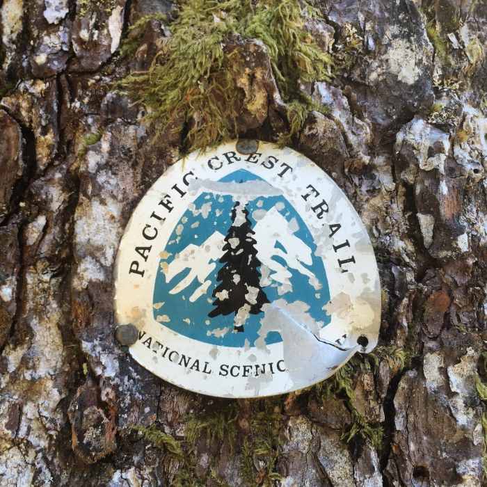 Near Commonwealth Creek to Red Pass