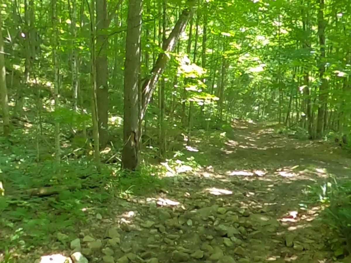 Adirondack ATV Riders Club photo 3