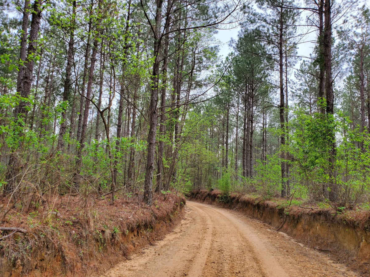 The Arkansas Overland Route - Section 5 - Highway 76 to Highway 278 trail photo