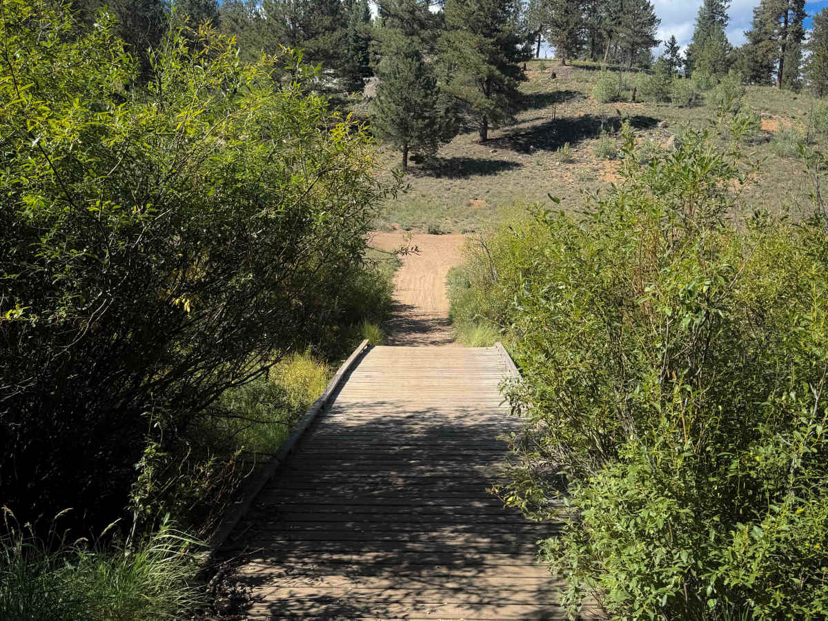 Davis Spur Trail 717C  photo 2