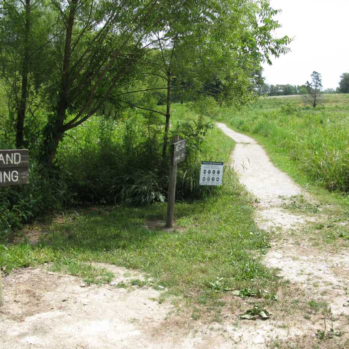 Near Wetland Trail
