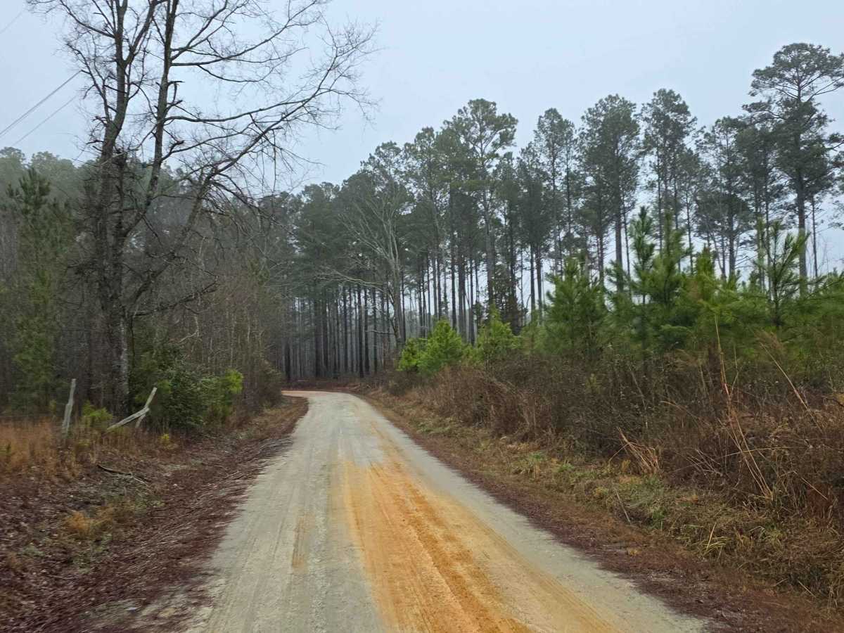 Pond Dam Road photo 3