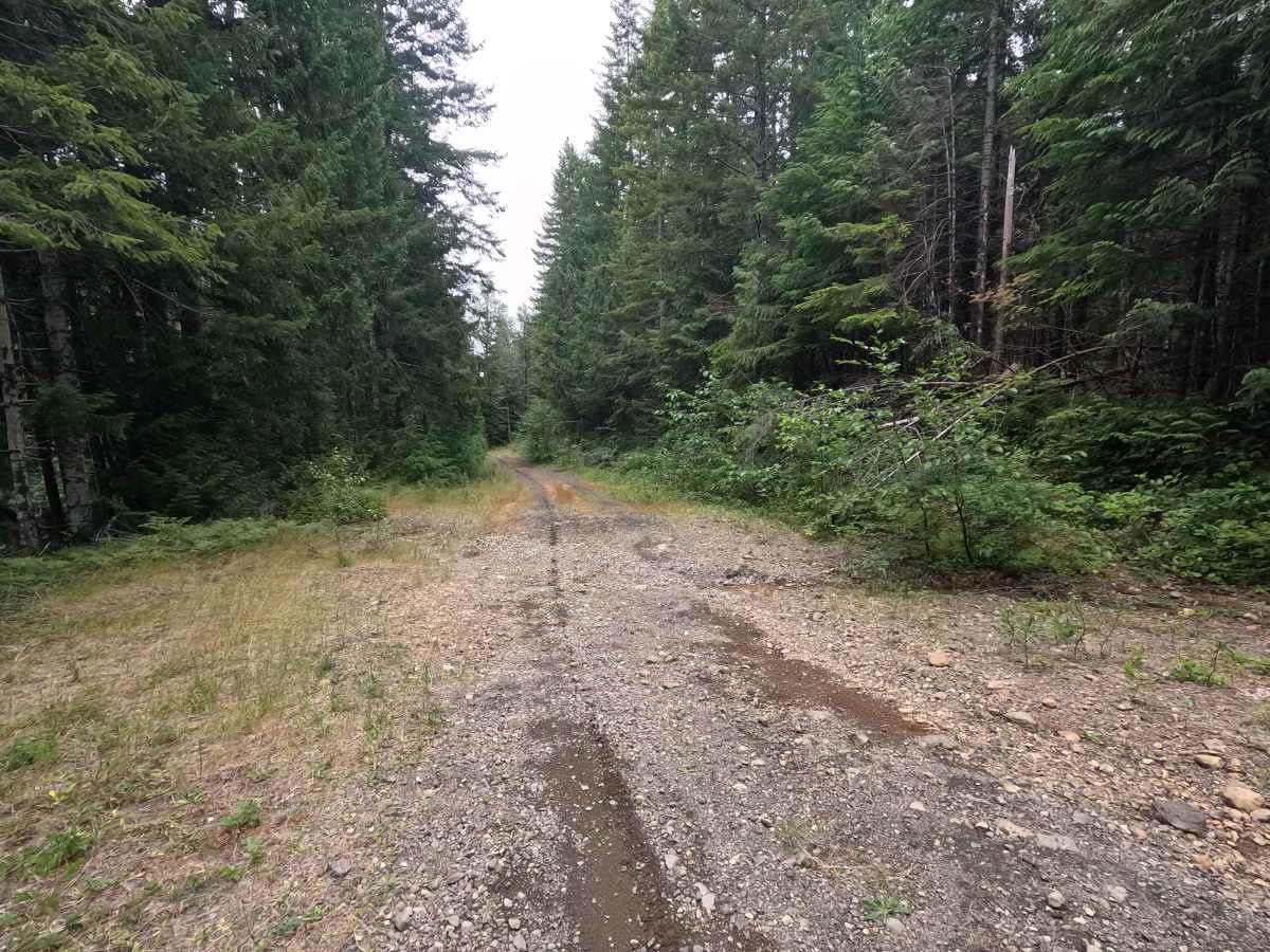 Church Creek East Trailhead - FS 2361600 photo 4