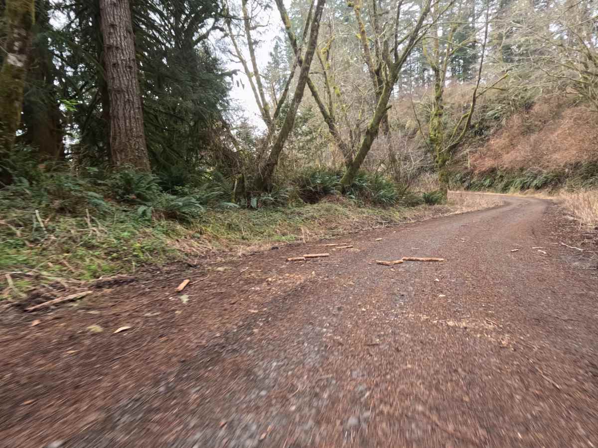 Tenmile Butte Road - 3500 trail photo