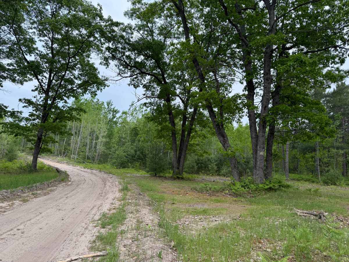 Taylor Creek Trail photo 6