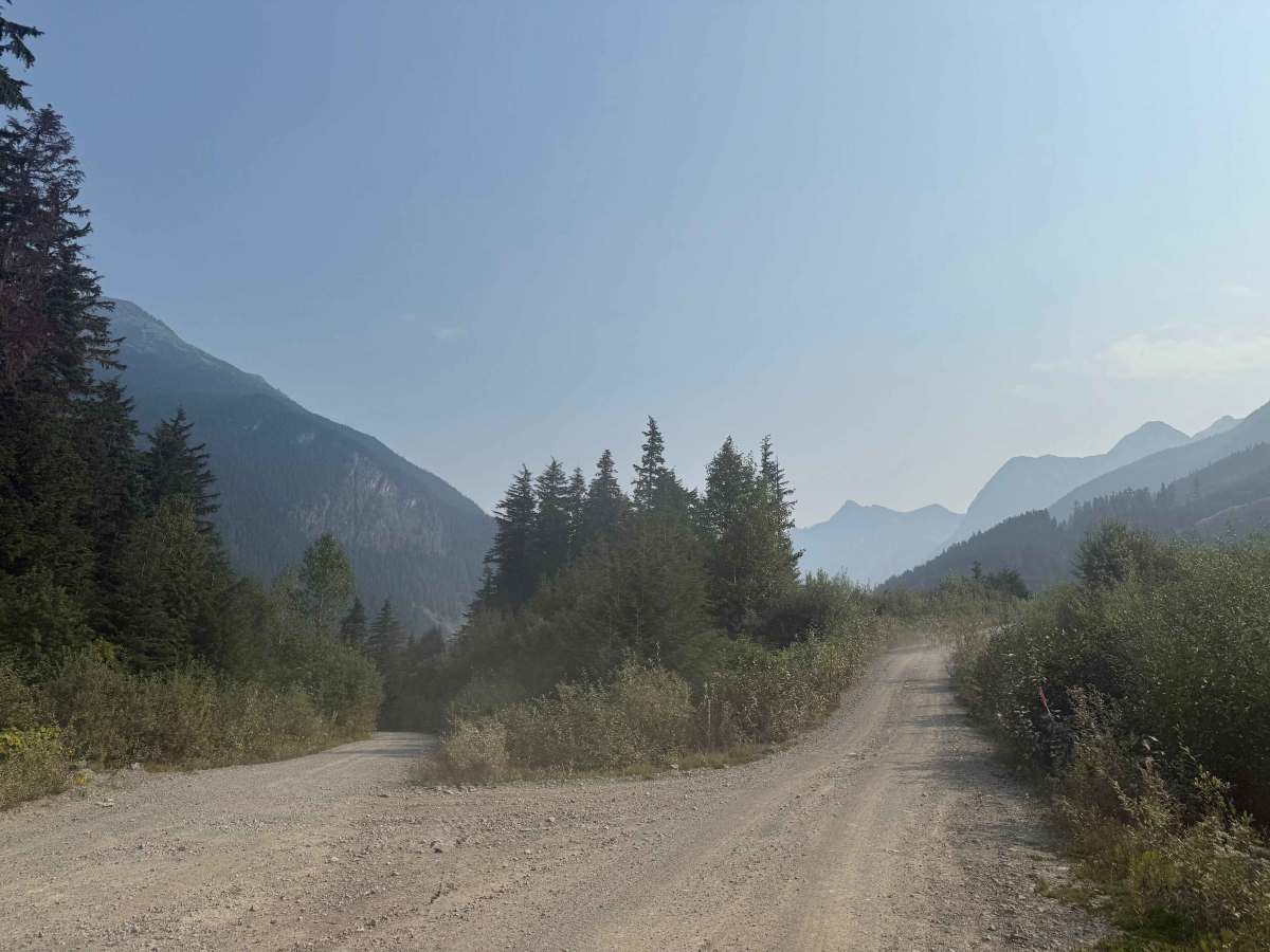 Cranberry Forest Service Road trail photo