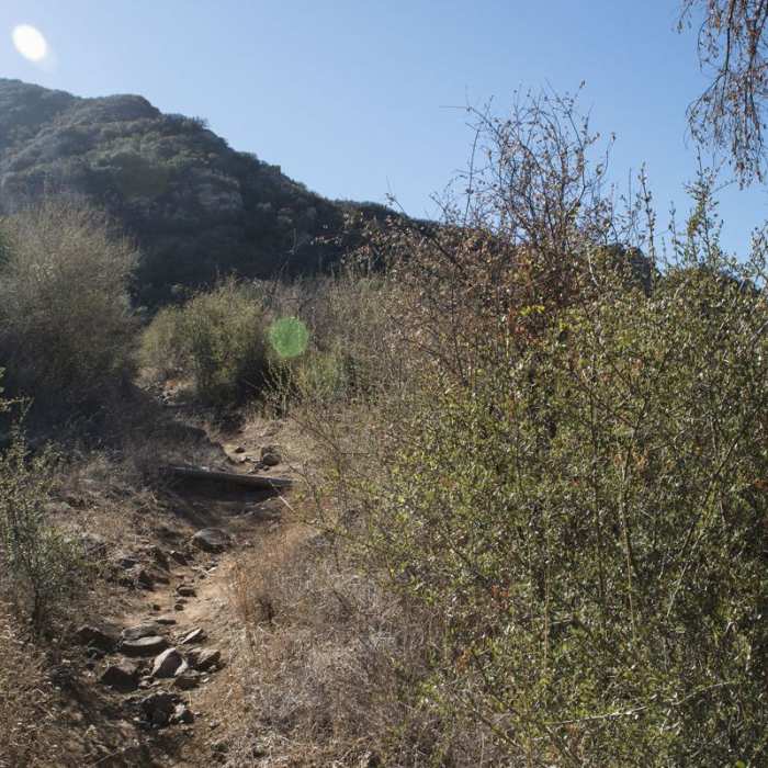 Near Chaparral Trail Loop Hike