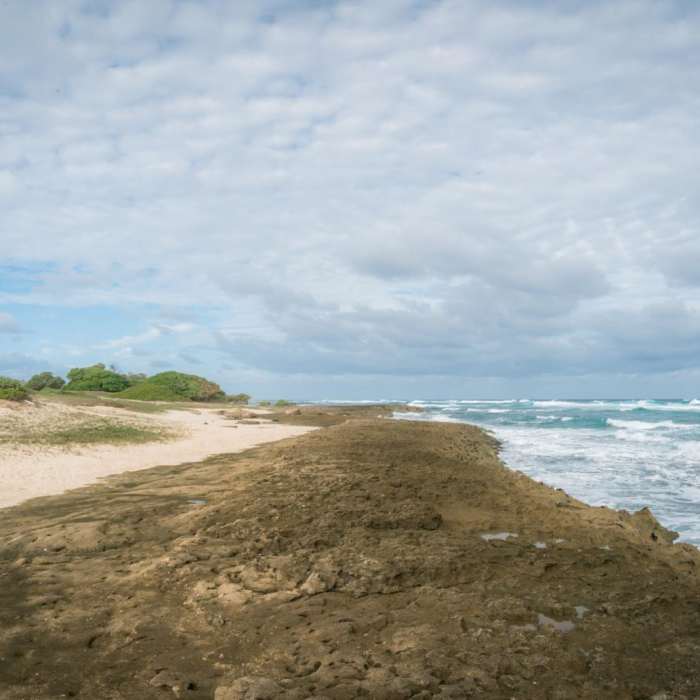 Near Kahuku Shoreline Near Kahuku Shoreline