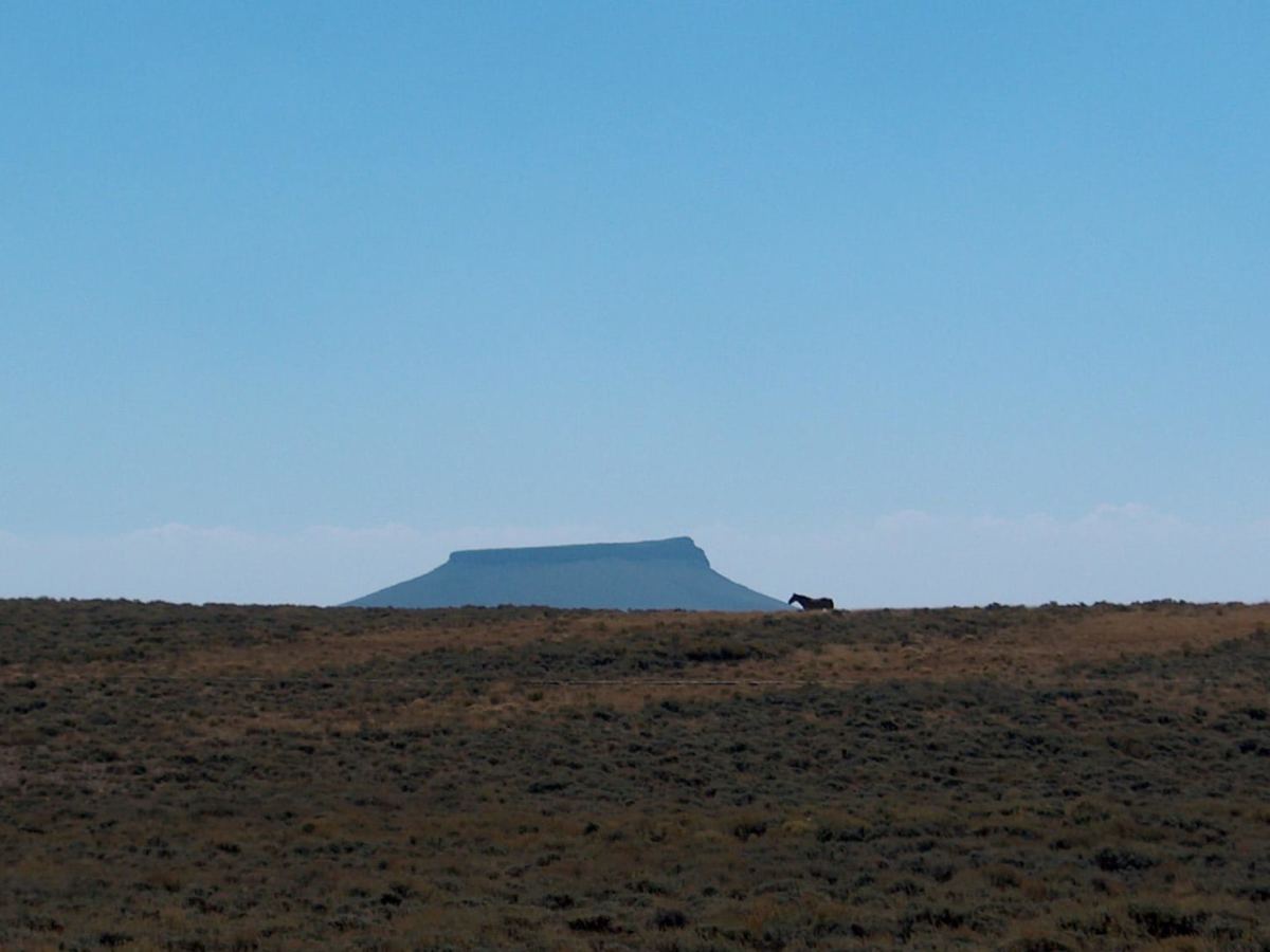 Pilot Butte Wild Horse Scenic Tour photo 5