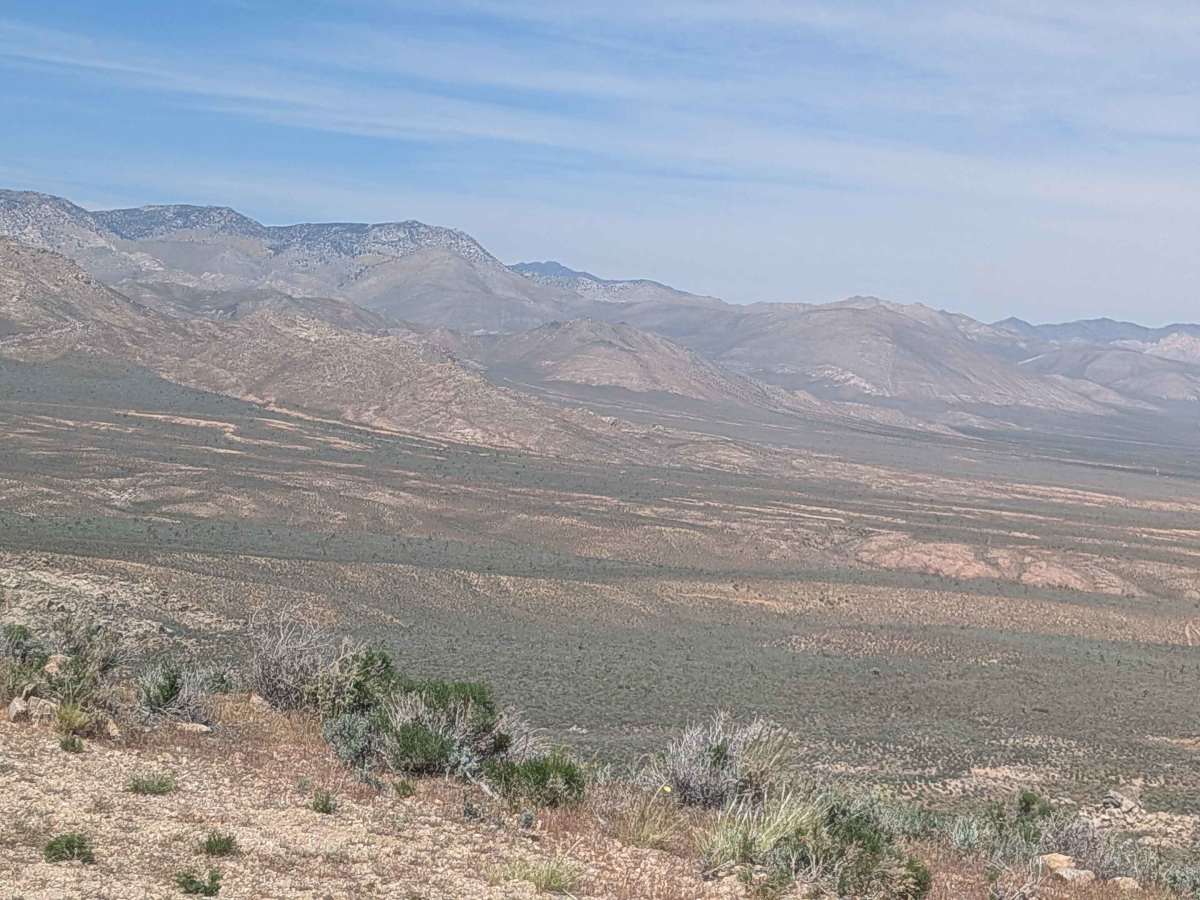 BLM SC44 photo 3