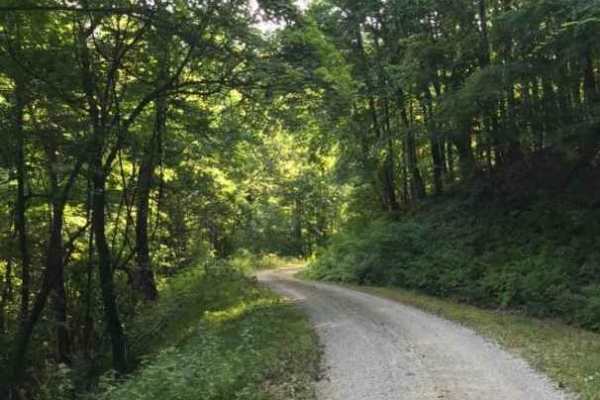Middle Creek